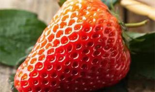 草莓什么时候熟 草莓成熟的季节